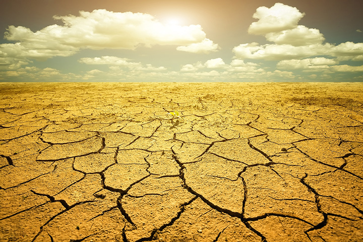 Засуха в Калифорнии (3)
